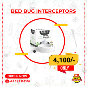 Bed Bug Interceptor