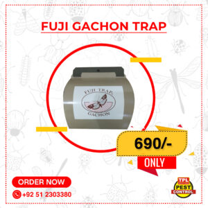 Fuji Gachon Trap
