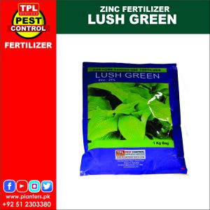 Lush Green (01 Kg pack)