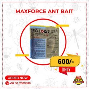 Maxforce Ant Bait