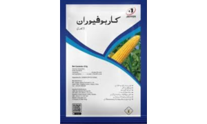 Read more about the article Maxforce Cockroach Killer: Expert Pest Control by TPL in Islamabad & Rawalpindi