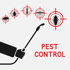 Read more about the article Stored Food Products and Pest Control