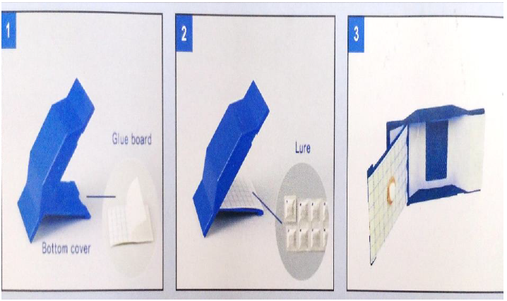 Torios Multi Stored Product Pest Trap